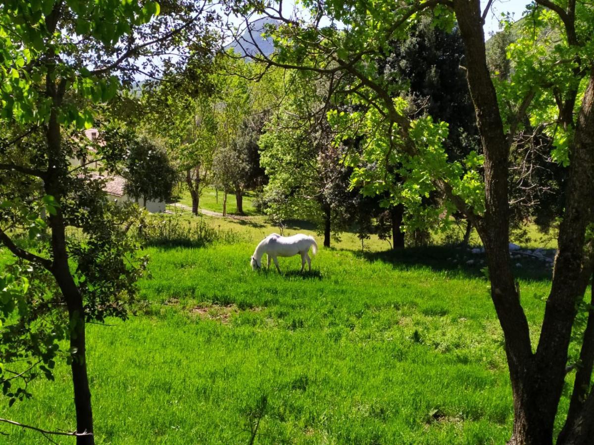 Agriturismo Colloreto 모라노 칼라브로 외부 사진