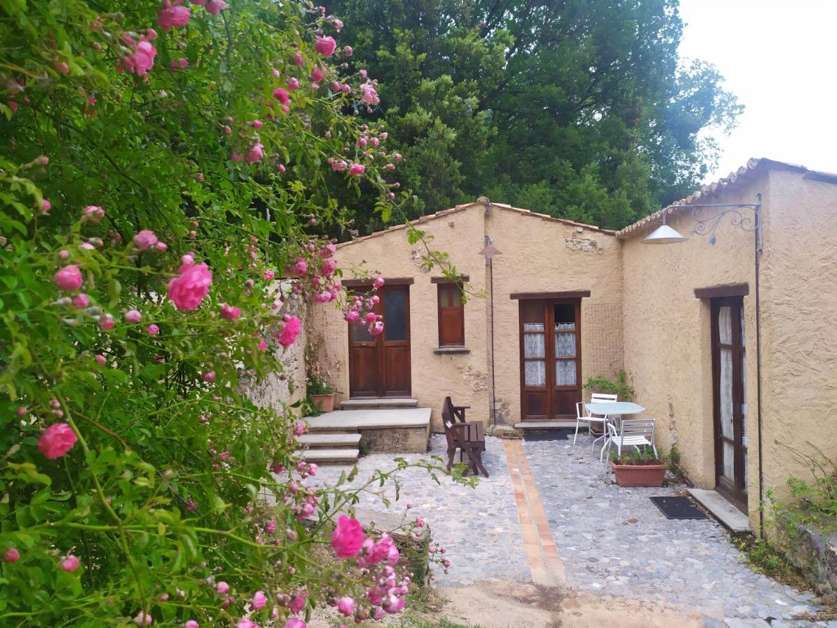 Agriturismo Colloreto 모라노 칼라브로 외부 사진